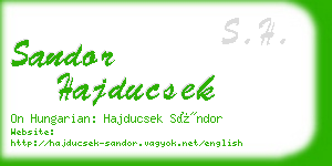 sandor hajducsek business card